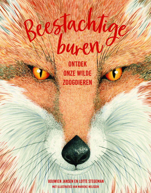 Backyard Beasts: All About the Wild Mammals of Europe