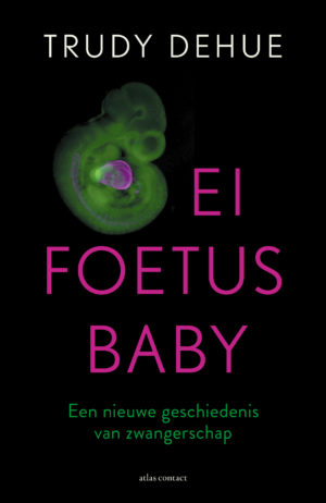 Egg, Foetus, Baby