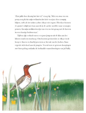 Brady the Bittern and the Secret of the Swamp - Image 3