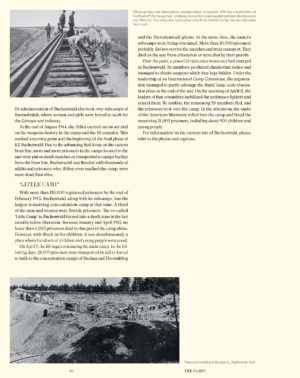 The Camps - Image 2