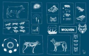 The Book of Wolves - Image 2