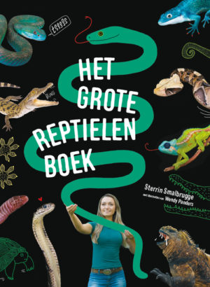 The Big Reptile Book