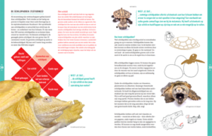 The Big Reptile Book - Image 3