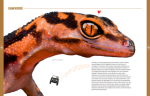 The Big Reptile Book - Image 4