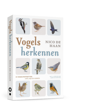 Identifying Birds