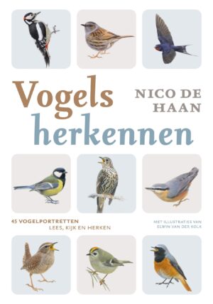 Identifying Birds